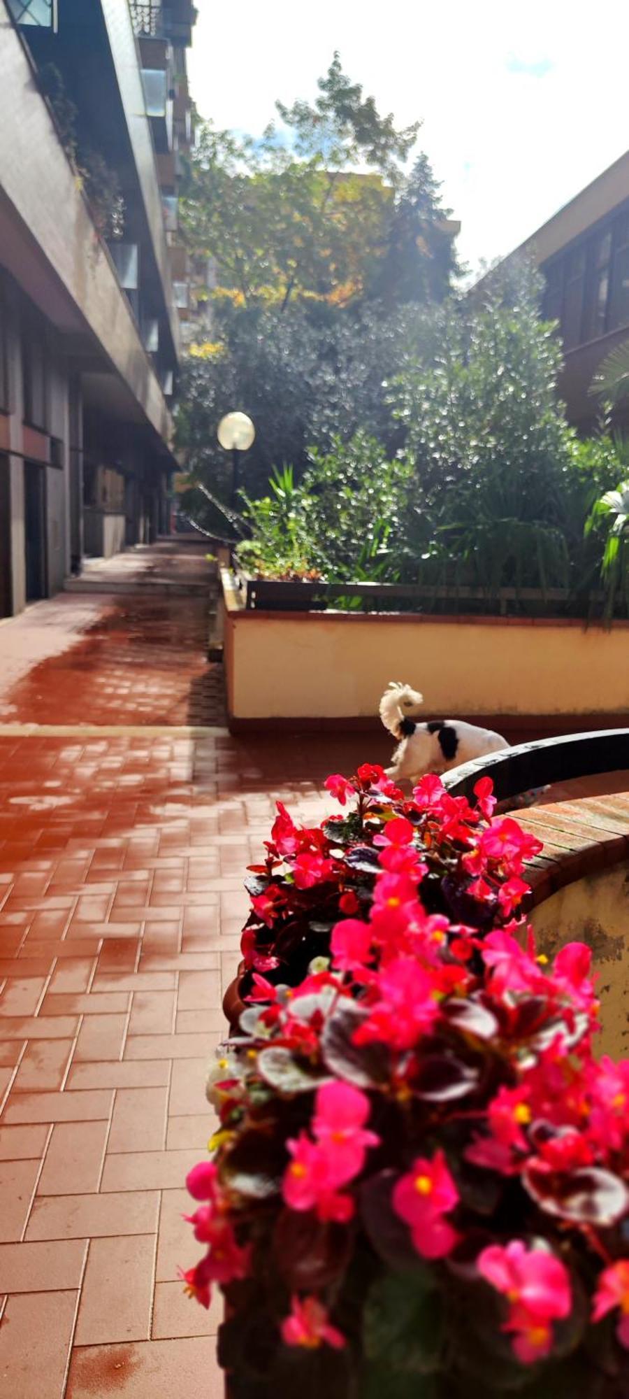 Gemme Fiorentine Apartments In Front Of The Train Station 5 Minutes From The Centre Free Parking Florenţa Exterior foto
