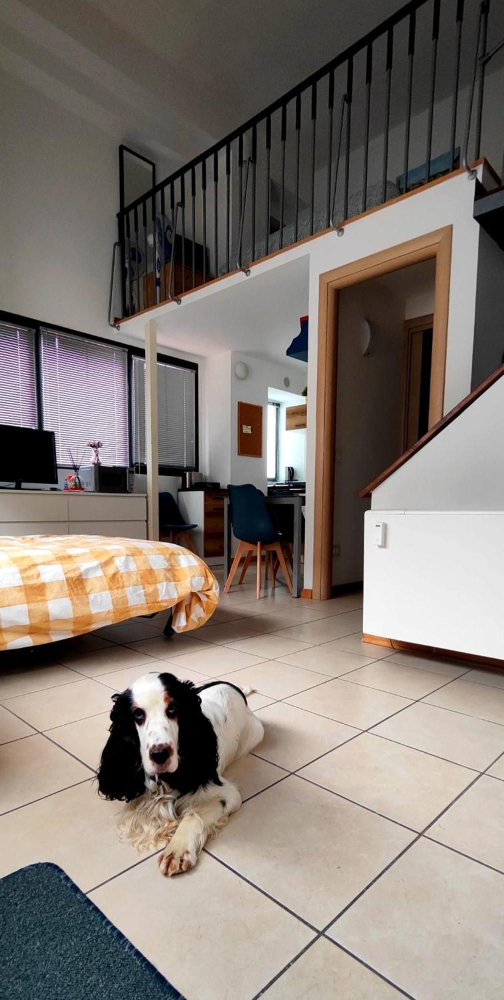 Gemme Fiorentine Apartments In Front Of The Train Station 5 Minutes From The Centre Free Parking Florenţa Exterior foto
